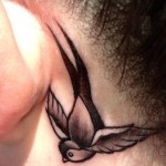Tattoo fecske érték, fotók, vázlatok (érték) Tattoo fecske érték, és a fénykép miniatűr