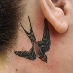 Tattoo fecske érték, fotók, vázlatok (tetoválás) Tattoo fecske érték, és a fénykép miniatűr