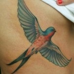 Tattoo fecske érték, fotók, vázlatok (fotó) Tattoo fecske érték, és a fénykép miniatűr