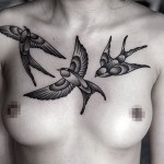 Tattoo fecske érték, és a fénykép miniatűr