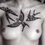 Tattoo fecske érték, fotók, vázlatok (Fecske) Tattoo fecske érték, és a fénykép miniatűr