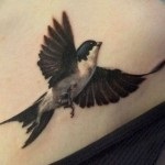 Tattoo fecske érték, és a fénykép miniatűr
