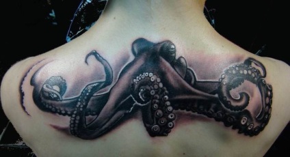 Tattoo polip (Octopus tetoválás fotó) polip tetoválás
