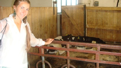Технологія вирощування ремонтного молодняку ​​великої рогатої худоби