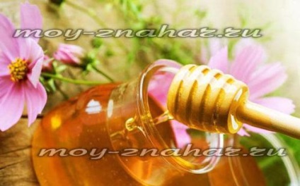 Tök mézet kezelése és tisztítása Máj