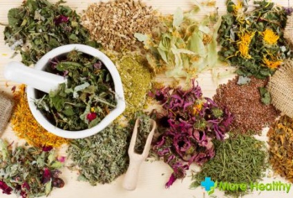 Gyógynövények, máj és az epehólyag terápiás tulajdonságainak és ellenjavallatok