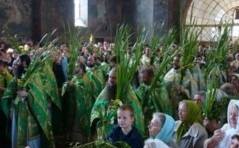 2015 Trinity szent fű (fű) 2015 Trinity szent gyógynövények