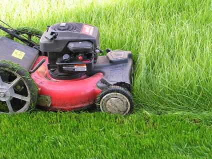 Gyepápolás az ősszel, télen, tavasszal és nyáron (gyep) Gyepápolás az ősszel, télen, tavasszal és nyáron