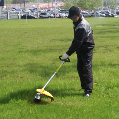 Gyepápolás az ősszel, télen, tavasszal és nyáron (ősszel) Gyepápolás az ősszel, télen, tavasszal és nyáron