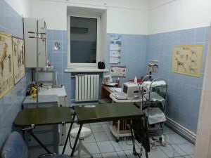 Állatorvosi klinika Petan Omszk (klinika) Állatorvosi klinika Omszk Petan