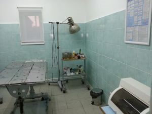 Állatorvosi klinika Petan Omszk (Petan) Állatorvosi klinika Omszk Petan