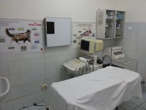 Állatorvosi klinika Petan Omszk (klinika) Állatorvosi klinika Omszk Petan