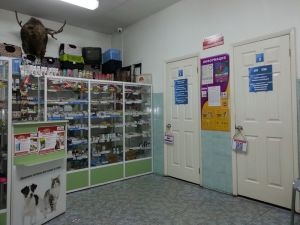 Állatorvosi klinika Petan Omszk (Veterinary Clinic) Állatorvosi klinika Omszk Petan