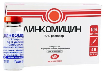 Állatgyógyászati készítmény linkomicin 10% (Veterinary) Állatgyógyászati készítmény linkomicin 10%