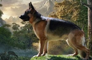 Szülői kiskutya észt kopó, a kölyök (puppy) Szülői kiskutya észt kopó, a kölyök