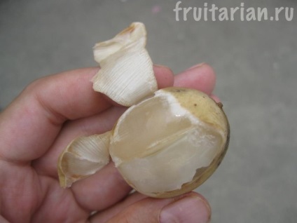 Mind-mind-mind arról longkonge (Lansium Parasiticum) Mind-mind-mind arról longkonge