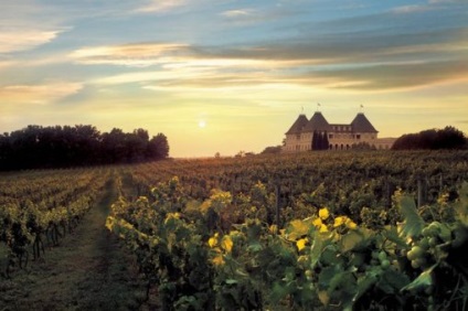 Miért, miért bor - Cikk - régi fényében - Franciaország - Chateau - tükrözi a lényege bor vagy egy jó
