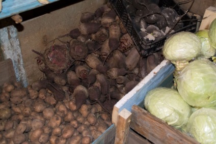 Tárolása burgonya a pincében, garázsban (pince tárolása zöldségek) Tárolása burgonya a pincében, garázsban