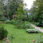 Tűlevelűek a kertben (38 fotó), különösen a bokrok és fák a kerttervezés, fotó és videó (a magassága elérheti a méter) Tűlevelűek a kertben (38 fotó), különösen a bokrok és fák a kerttervezés, fotó és videó