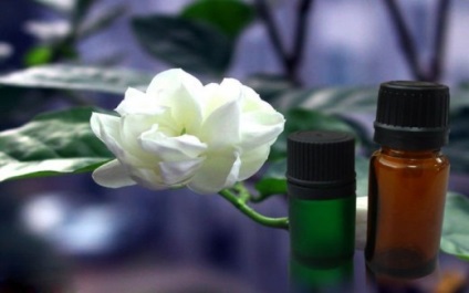 Jasmine - hasznos tulajdonságai, használata a kozmetikumokban és az orvostudomány