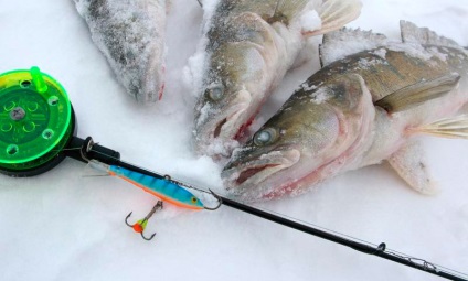 Téli rocker rúd - különösen kijelölése, előkészítése, Catchability kiegyenlítők halfogási (télen) Téli horgászbot mérleg - különösen a kijelölése, előkészítése, catchability balancers halfogási