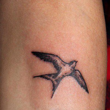 Jelentés tetoválás Seagull - ami azt jelenti, sirály tetoválás, fotók