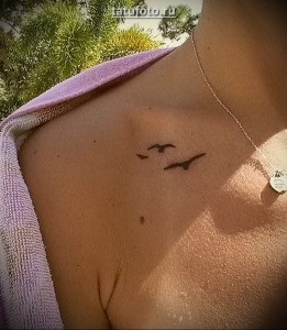 Jelentés tetoválás Seagull - értelmében a történelem és a példák tetoválás