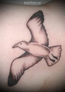 Jelentése tetoválás Seagull - a jelentését a történelem és példák a tetoválás (érték) Jelentés tetoválás Seagull - értelmében a történelem és a példák tetoválás