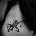 Jelentés tetoválás Octopus - a jelentése, története és képek (polip) Jelentés tetoválás Octopus - a jelentése, története és képek