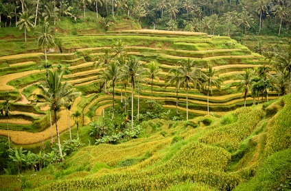 10 legjobb helyek Balin, amit érdemes megnézni, az idegenvezető Bali