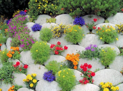 15 ötletek egy szép kert és egy hangulatos elrendezés, amely mindenki számára előnyös