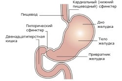 Anatsidny gastritis tünetek és a kezelés