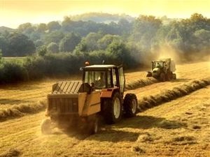 Béreljen termőföld a tranzakció körülményeit és a minta szerződést