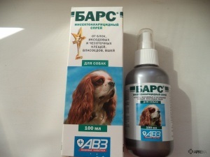 Bars (insektoakaritsidny spray bolhák és kullancsok) kutyáknak és macskáknak, véleménye a kábítószer-használat