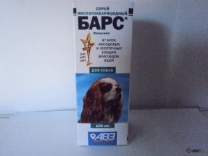 Bars (insektoakaritsidny spray bolhák és kullancsok) kutyáknak és macskáknak, véleménye a kábítószer-használat