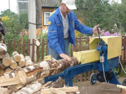 Business a fa, hogyan kell megszervezni az értékesítés tűzifa