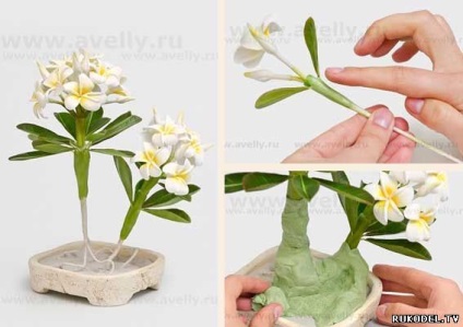 Plumeria bonsai thai agyag mesterkurzus - a színek a polimer agyag - polimer agyag -