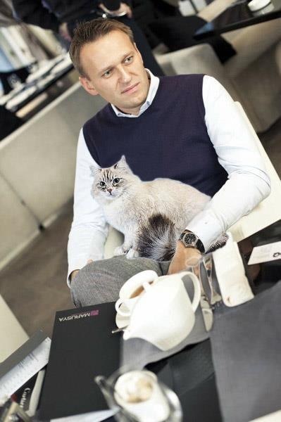 Mi történt a macskával Medvegyev vizsgálat bloggerek