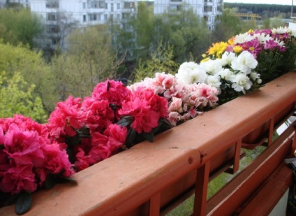 Virágok az erkélyen üvegezés és nyitott, segíti a kiválasztásban és a design, hogy hogyan lehet egy télikert