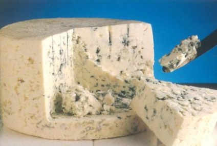 Danish Blue Cheese, panamilk