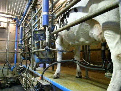 Fejőgép tehenekre típusok készülék jellemzői