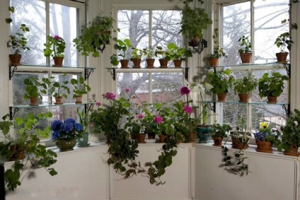 Polcok virágok ötletek otthoni és kerti álom otthon