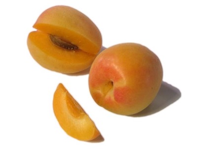 Hibridje a szilva és sárgabarack, őszibarack, nektarin és az alma leírása