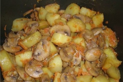 Gomba burgonya multivarka recept fotók, lépésről lépésre készítmény (recept) Gomba burgonya multivarka recept fotókkal, lépésről lépésre főzés