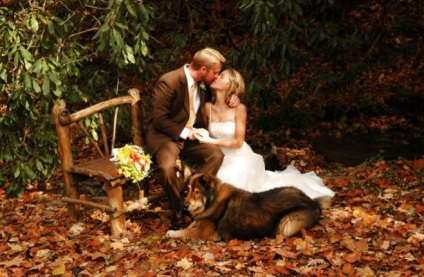 Ötletek az esküvői fotózásra ősszel kreatív fotó a természetre