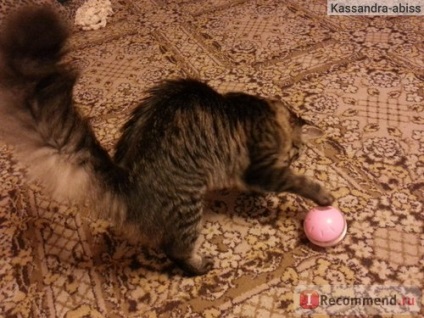Játék macskáknak Hagen labda puzzle catit macska kezelésére labda - «labda puzzle