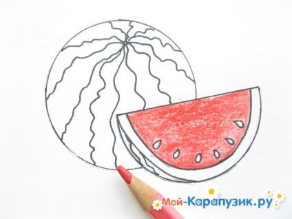 Hogyan kell felhívni a ceruzát görögdinnye szakaszában kezdőknek