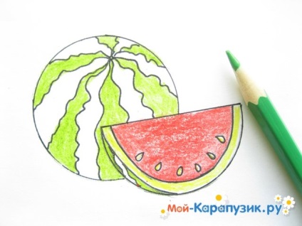 Hogyan kell felhívni a ceruzát görögdinnye szakaszában kezdőknek