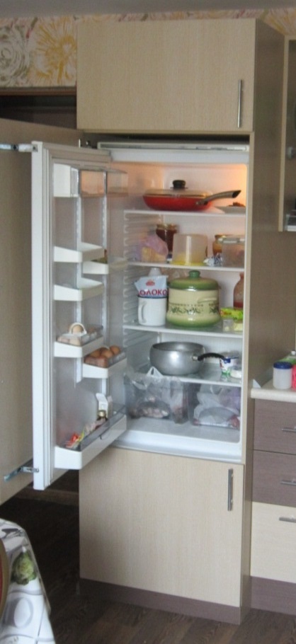 Mint egy átlagos hűtőszekrény beépített szekrény, 1. rész, bútorszerelésre Samara 8 (927) 909-41-51