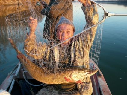 Hogyan vyvazhivat csuka halászat helyszíne Novosibirsk